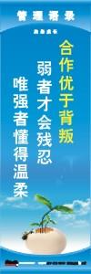 管理標(biāo)語 現(xiàn)場管理標(biāo)語 生產(chǎn)管理標(biāo)語 合作優(yōu)于背叛弱者才會(huì)殘忍唯強(qiáng)者懂得溫柔