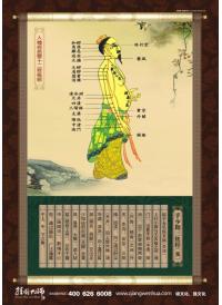 人體經(jīng)絡(luò)圖 中醫(yī)宣傳圖 十二正經(jīng)--手少陽(yáng)三焦經(jīng)(亥)