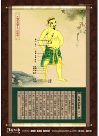 養(yǎng)生館圖片 人體經(jīng)絡圖 十二正經(jīng)--足厥陰肝經(jīng)(丑)