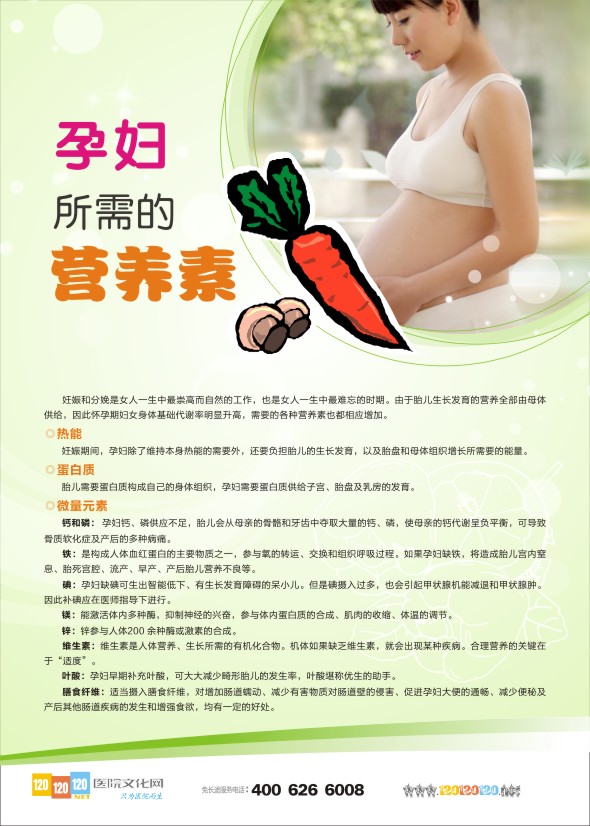 孕期保健知識圖 婦幼保健宣傳標(biāo)語 孕婦所需的營養(yǎng)素