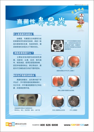 耳鼻喉科宣傳 耳鼻喉科宣傳資料 五官科宣傳欄 耳鼻喉科標(biāo)語(yǔ) 真菌性鼻竇炎