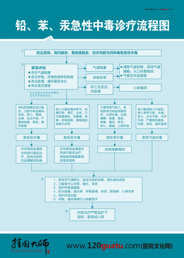 鉛、笨、汞急性中毒診療流程圖 醫(yī)院急救流程