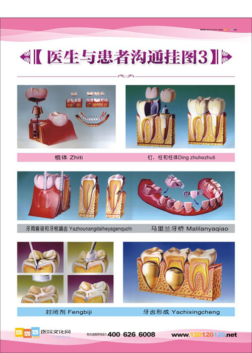 牙科宣傳圖片 牙科門(mén)診圖片 口腔科醫(yī)生與患者溝通掛圖3