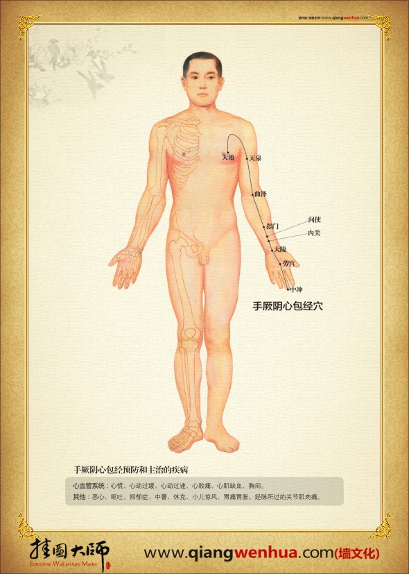 中醫(yī)人體穴位圖