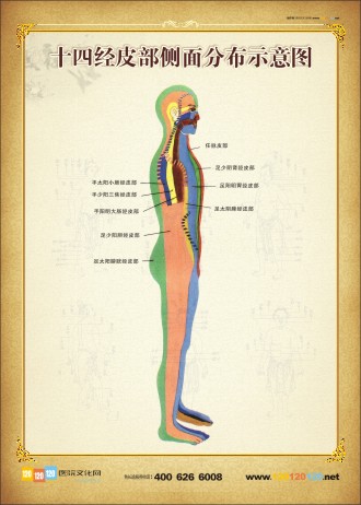 人體側(cè)面穴位圖 人體穴位示意圖 人體穴位位置圖  